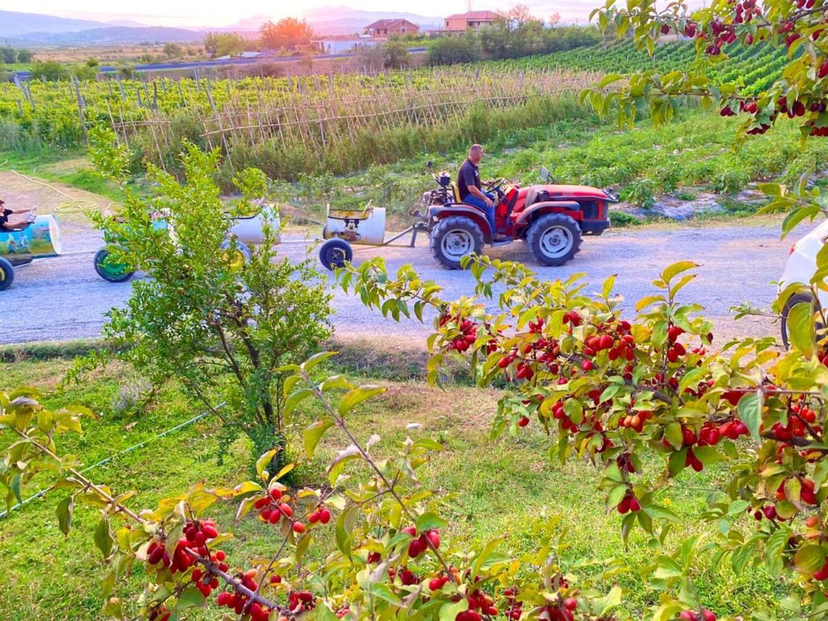 Mrizi I Zanave Agroturizem Hotel Lezha Kültér fotó